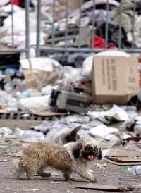 New Orleans debris