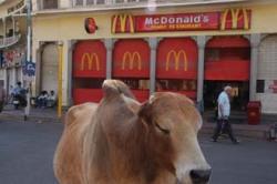 McDonalds in India